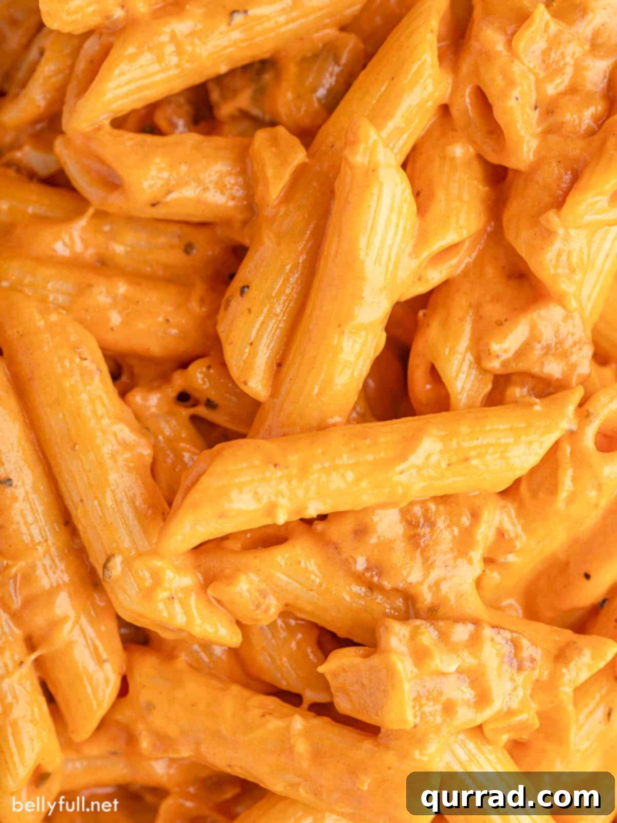 Close-up of creamy penne alla vodka