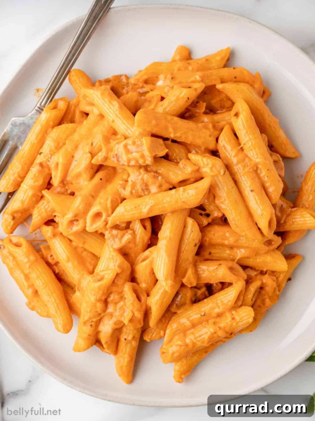 Vodka sauce pasta on a white plate