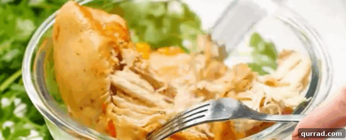 Shredding the chicken with forks. 
