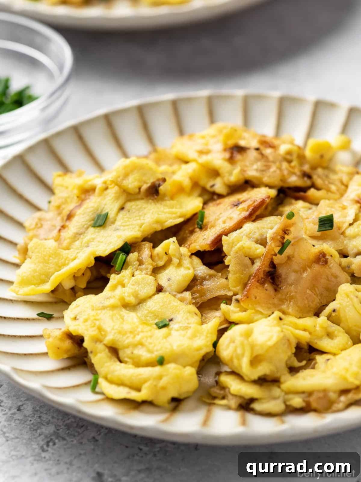 Close-up side angle of Matzo Brei served on a plate, showcasing its crispy texture and fluffy eggs.