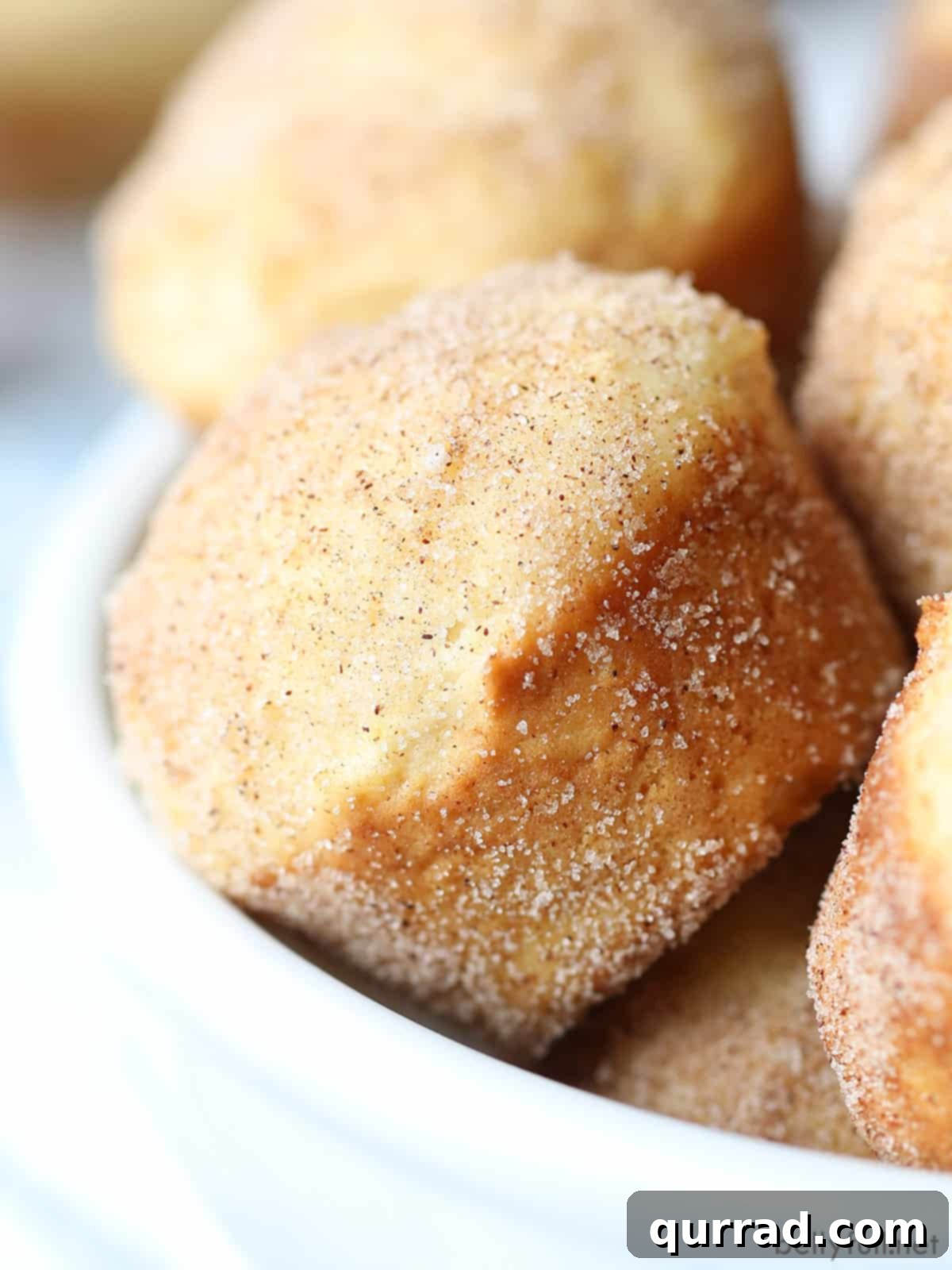 Cinnamon Sugar Donut Muffins 2 Close up of a mini donut muffin generously dusted with cinnamon sugar, ready to be enjoyed.