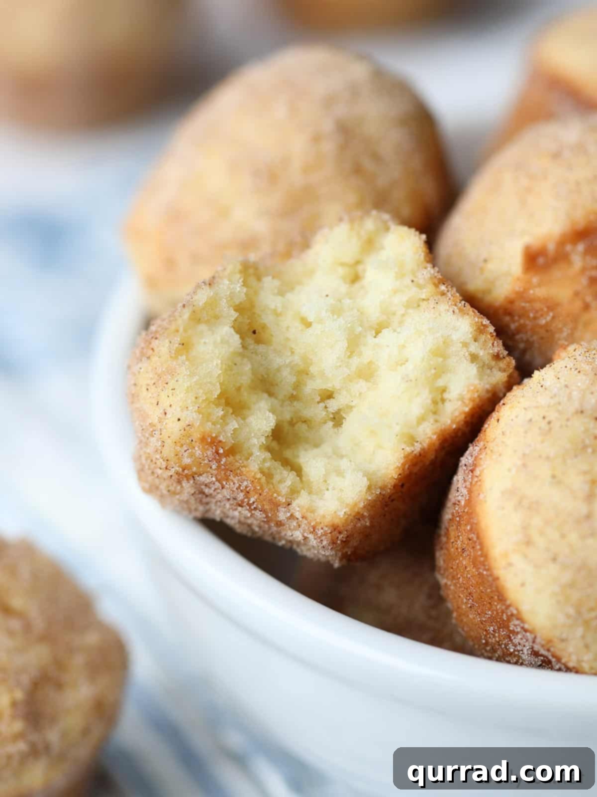 Cinnamon Sugar Donut Muffins 4 A mini donut muffin with a bite taken out, showcasing its tender interior and cinnamon sugar coating.
