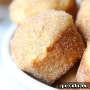 Cinnamon Sugar Donut Muffins 5 Close-up of a perfectly baked mini donut muffin, showing the texture of the cinnamon sugar coating.