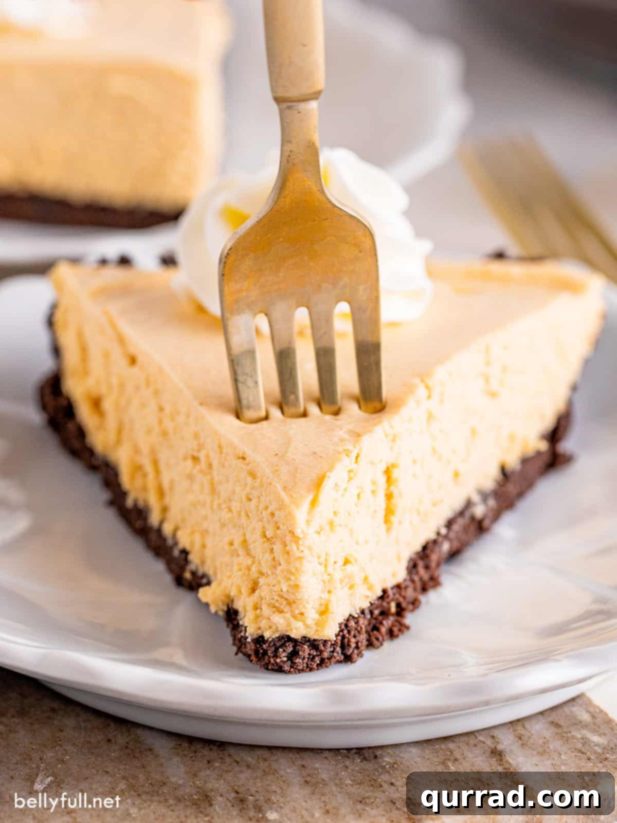 Chilled Peanut Butter Perfection 5 A fork piercing into a generously sized slice of No Bake Peanut Butter Pie, showing the creamy filling and the dark Oreo crust. The pie is topped with a dollop of whipped cream, making it look incredibly inviting.