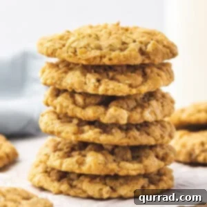 A stack of ranger cookies