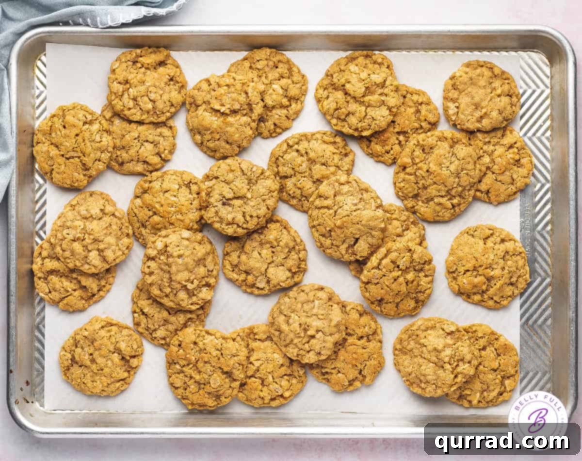 Adventure Mix Cookies 4 Overhead view of ranger cookies on a baking sheet