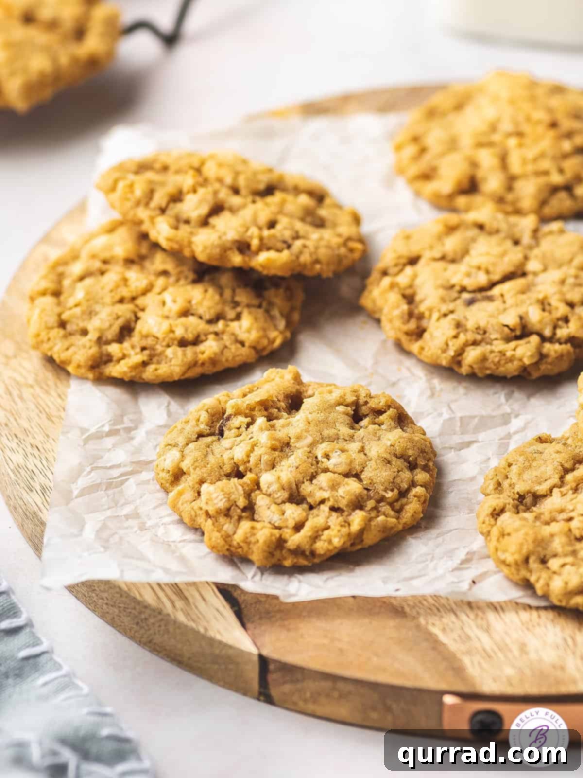 Adventure Mix Cookies 5 Angled view of ranger cookies