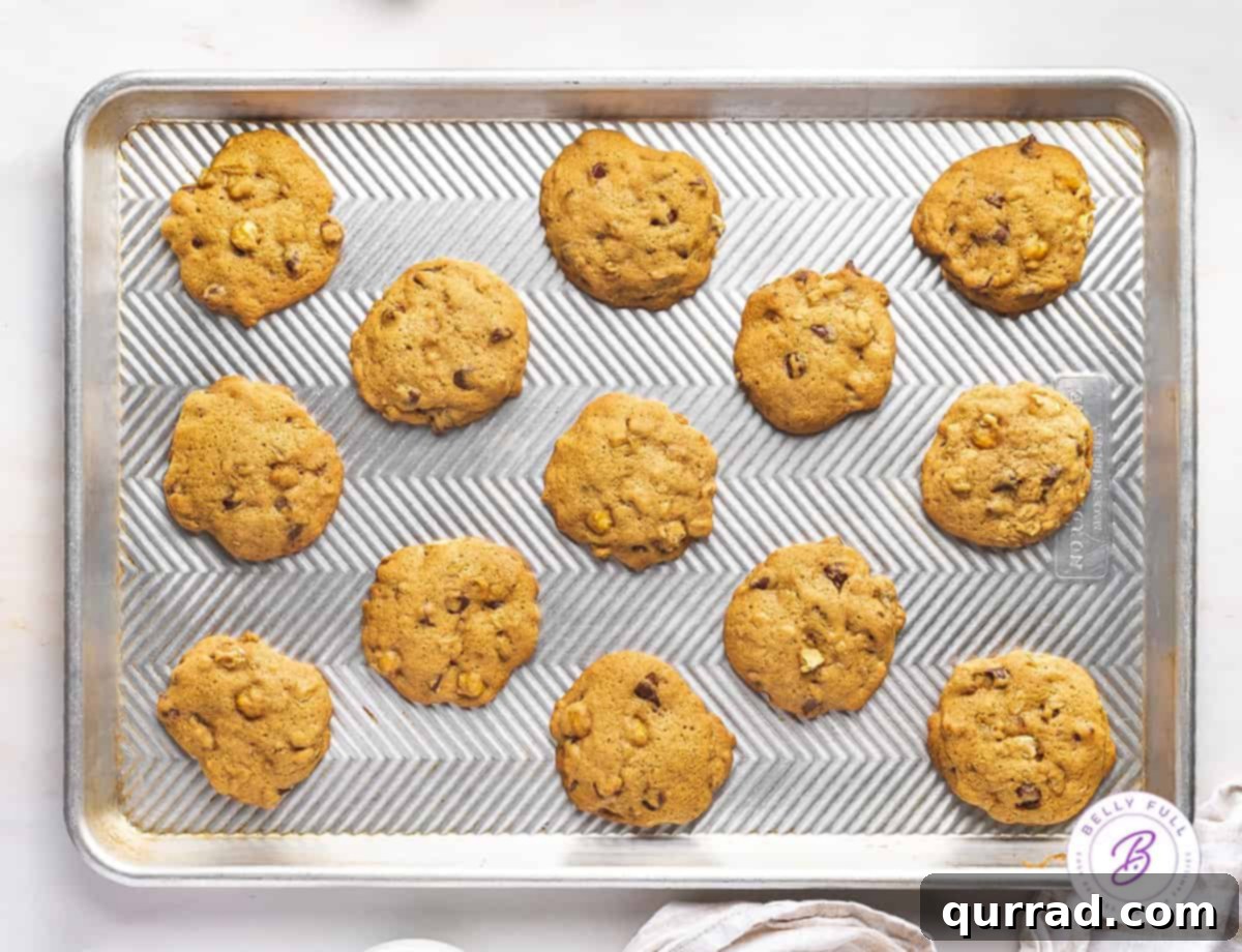 These Chickpea Cookies with Chocolate Chips are super easy to make (no chilling required!) and packed with protein! An overhead view of freshly baked chickpea chocolate chip cookies cooling on a baking sheet, ready for serving.