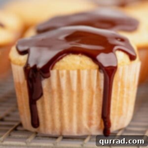 Decadent Boston Cream Cupcakes 2 A Boston Cream Pie Cupcake with chocolate ganache and vanilla cream filling
