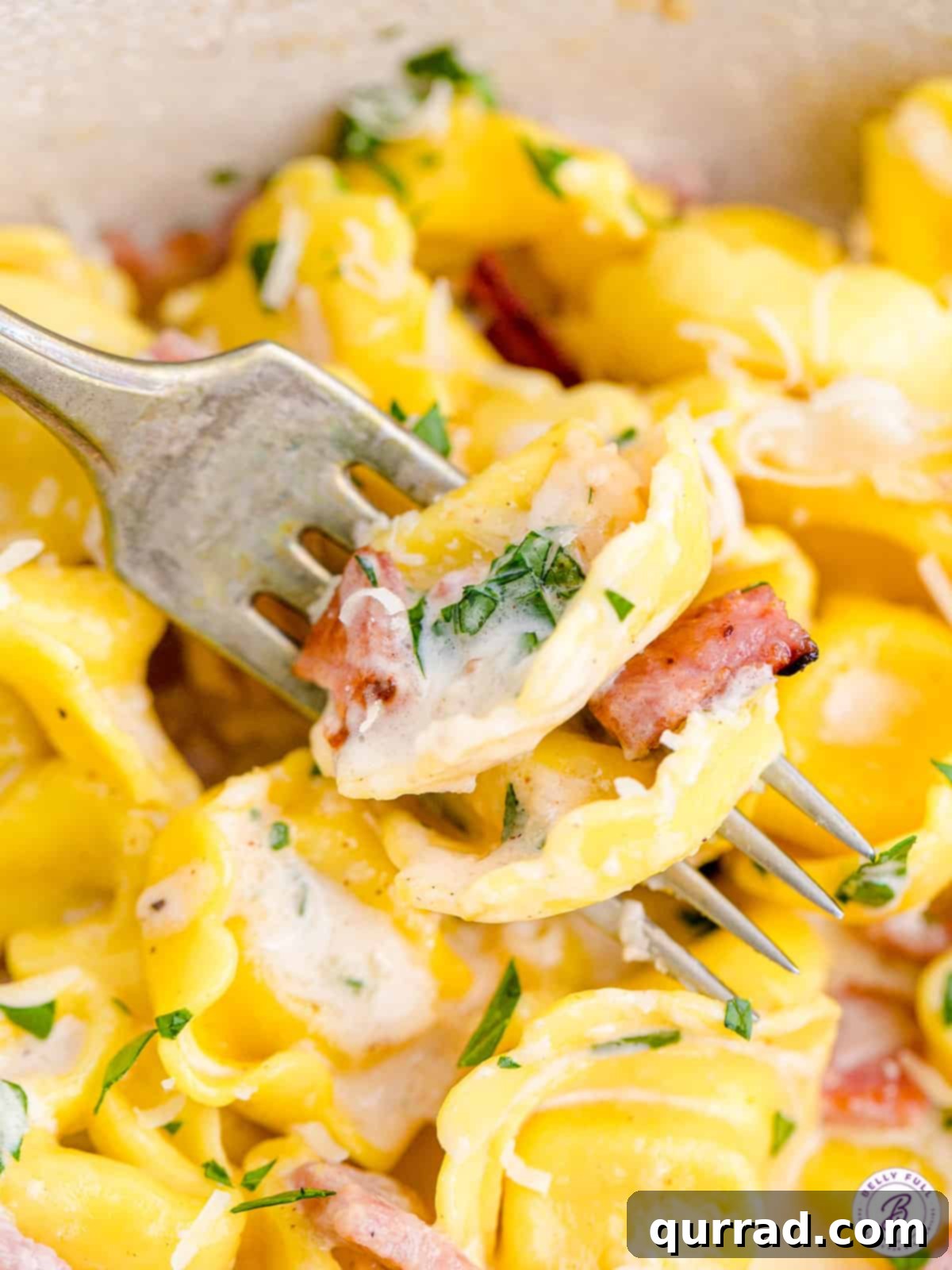 A single tortellini with cream sauce and parsley on a fork, ready to be eaten