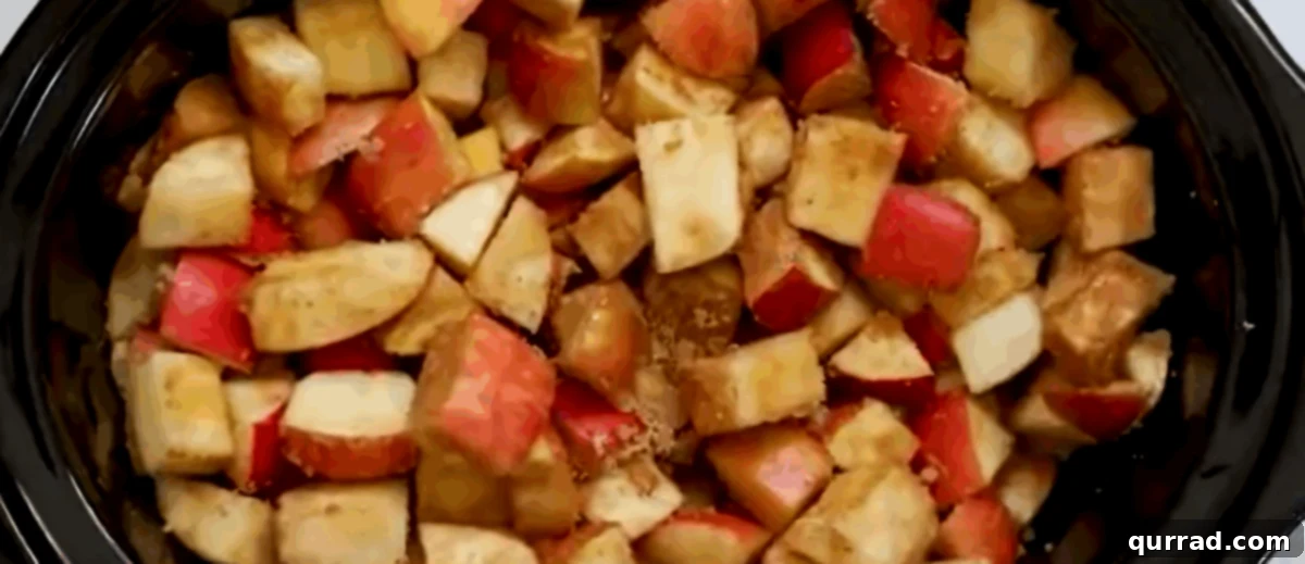 Velvety Slow Cooker Apple Butter 3 All the fresh ingredients laid out before cooking: whole apples, brown sugar, granulated sugar, and various spices, ready to be combined for slow cooker apple butter.