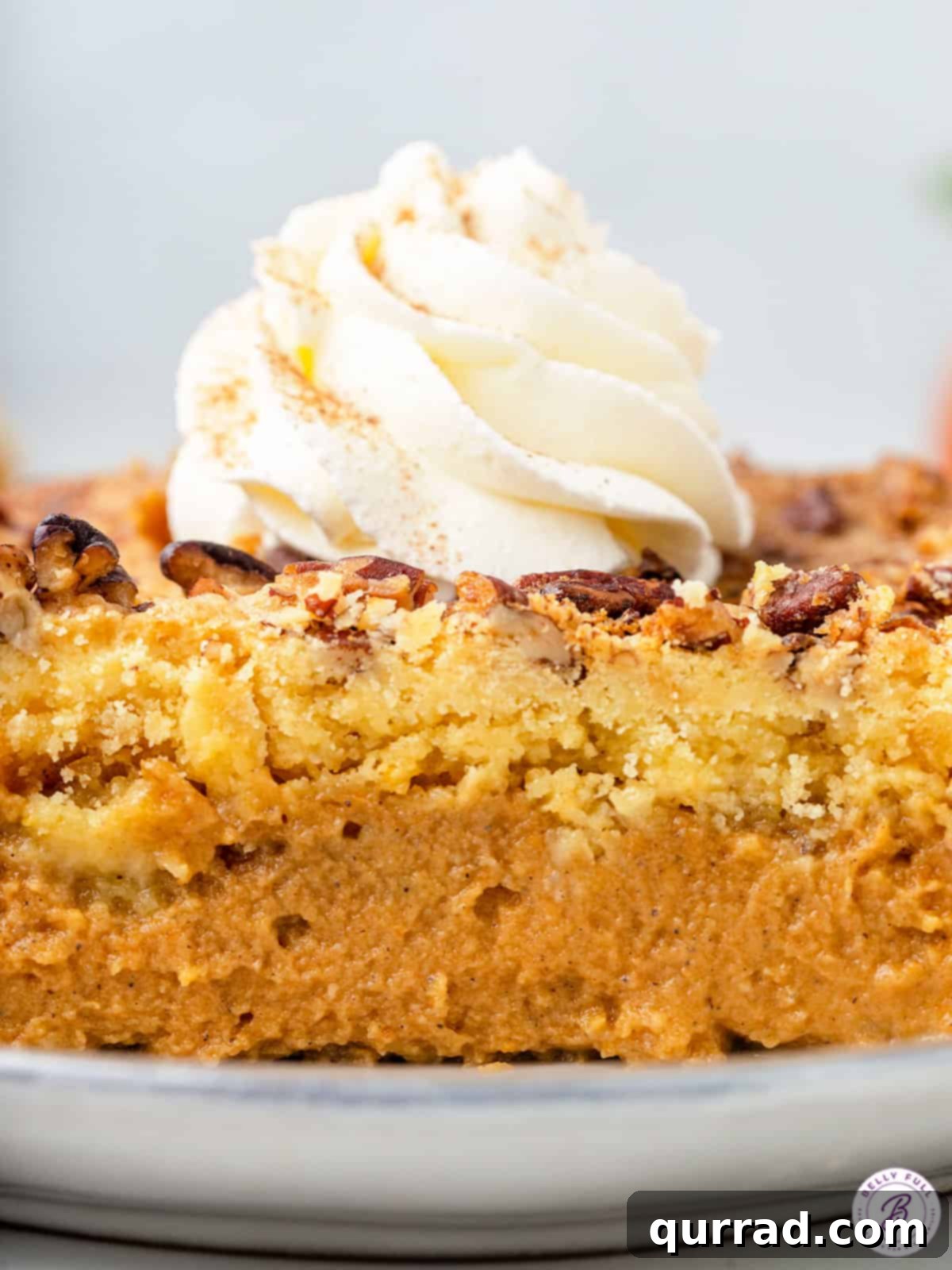 Easy Pumpkin Dump Cake: Creamy Pumpkin Filling, Crunchy Pecan Topping - Perfect for Thanksgiving! A delectable side view of a slice of pumpkin dump cake, showing its distinct layers of creamy pumpkin and crispy pecan topping, finished with a dollop of whipped cream.