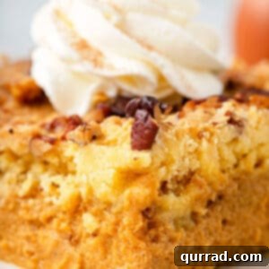 A slice of pumpkin dump cake topped with whipped cream and a sprinkle of cinnamon