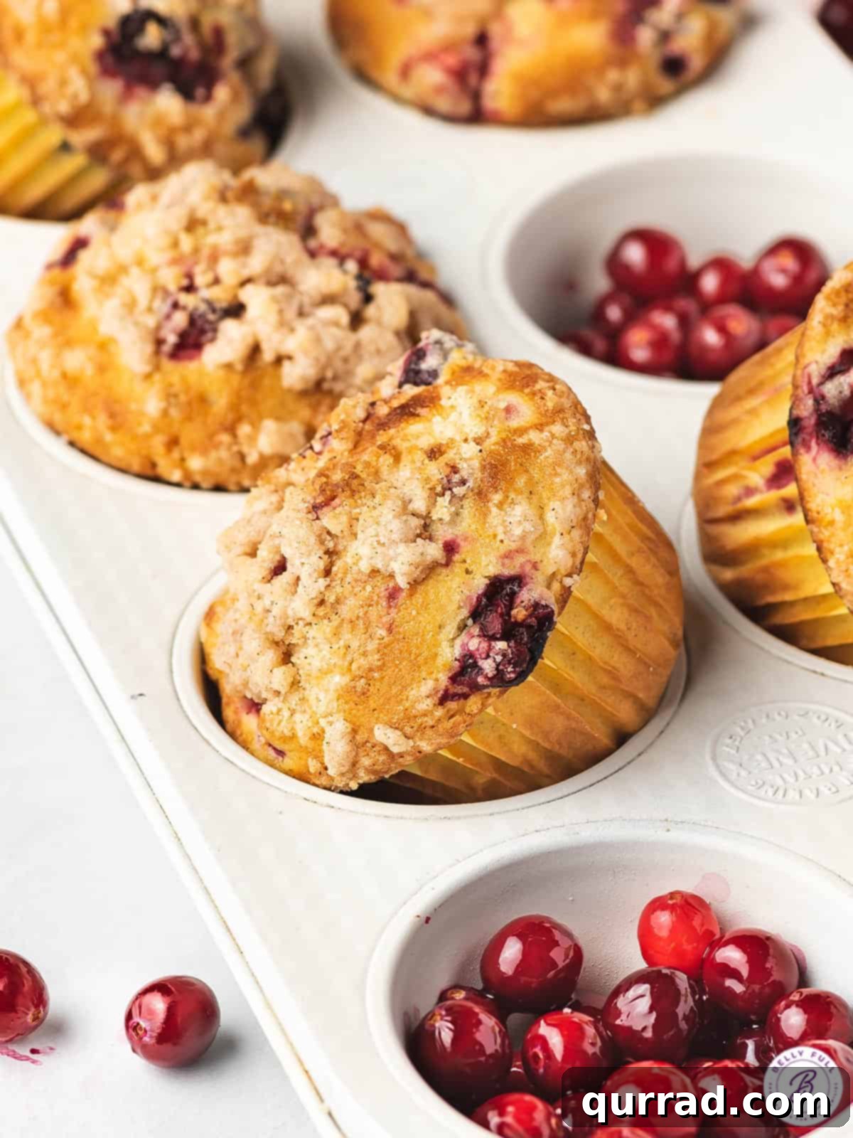 Made with tart cranberries, orange zest, and orange juice, these Cranberry Orange Muffins are bursting with flavor. Fluffy & moist! Cranberry orange muffins on their side in a muffin pan