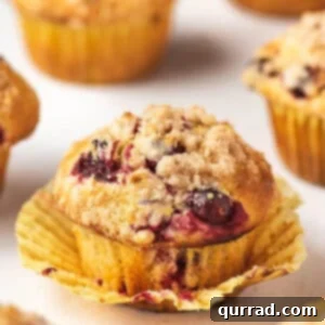 Zesty Cranberry Orange Muffins 2 A close up of cranberry orange muffins out of the wrapper