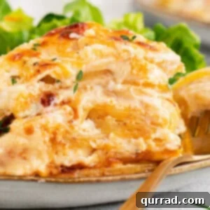 A side view of a serving of scalloped potatoes