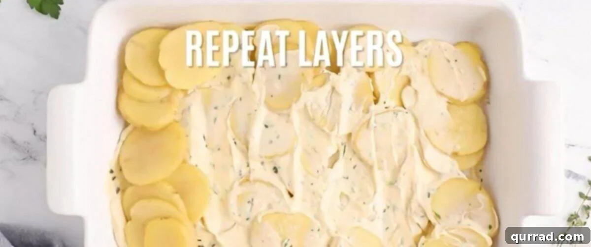Rich & Creamy Potato Bake 4 Layering the thinly sliced potatoes and cheese sauce in a baking dish.