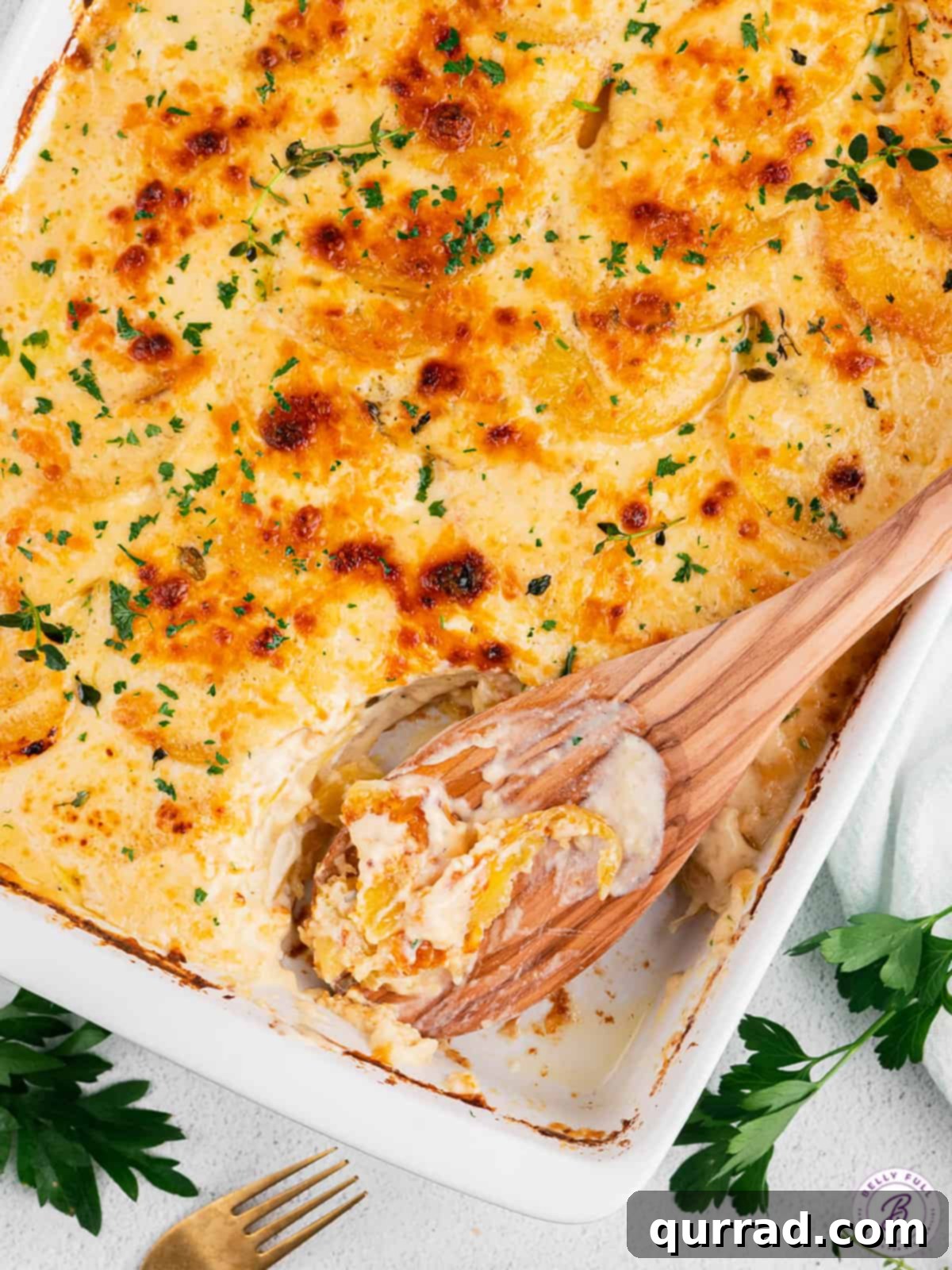 Easy Scalloped Potatoes: Cheesy, Creamy & Flavorful A wooden spoon in a casserole dish of scalloped potatoes, showing the depth and layers.
