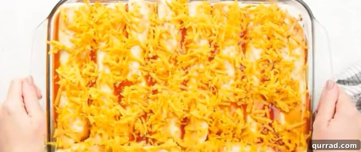 Beef enchiladas neatly arranged in a baking dish, topped with sauce and cheese, ready for the oven.