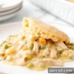 Chicken & Biscuit Pot Pie 7 perfectly baked chicken pot pie cobbler with a golden crust