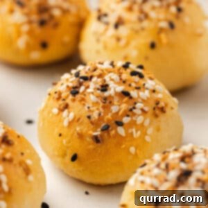 Crispy Air Fryer Bagel Bites 2 Close-up overhead shot of golden-brown air fryer bagel bites, perfectly seasoned and ready to eat.