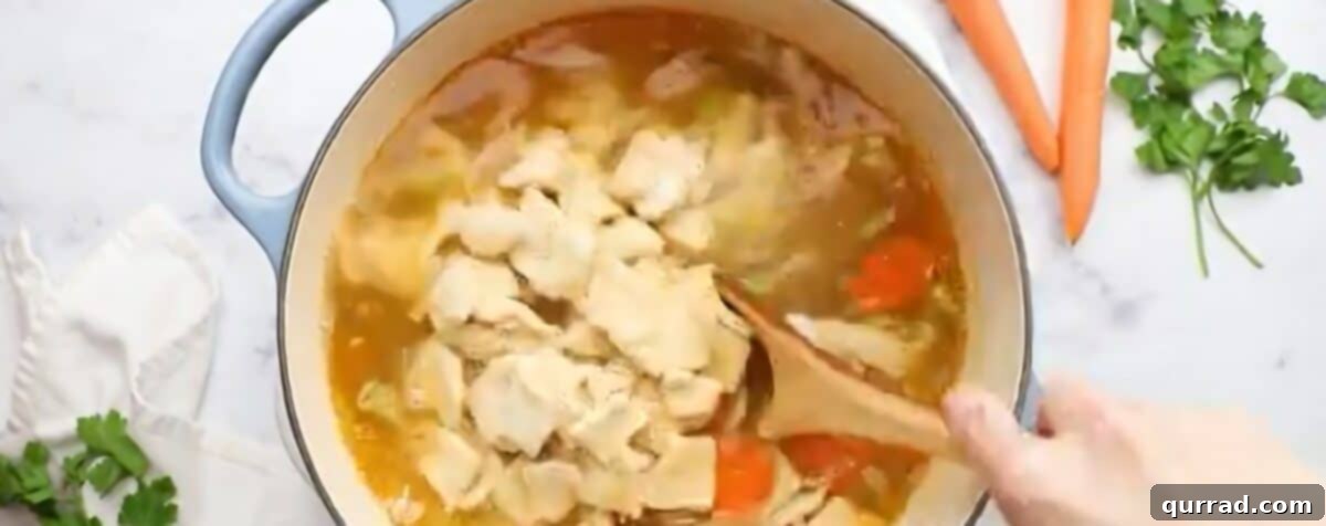 Southern Comfort Bowl 8 Adding the noodles to the pot with the veggies and broth.