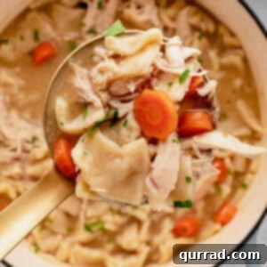 A ladle of chicken and dumplings over a pot