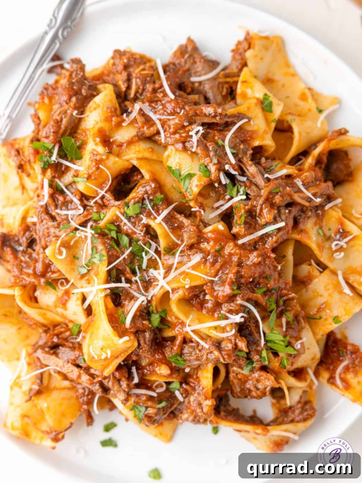 Overhead view of a plate of beef ragu