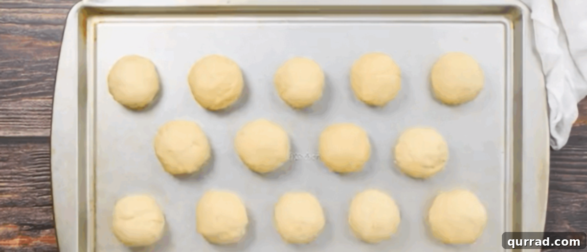 Fourteen golf ball-sized dough balls neatly arranged on a baking sheet, covered with a damp towel to rest.