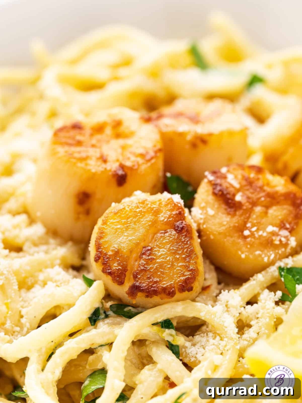 Close up of seared scallops over pasta