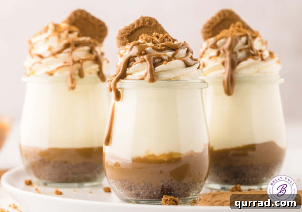 These No-Bake Biscoff Cheesecake Jars are incredibly quick and easy, with no baking required, and prepared in individual servings. Three no bake cheesecake jars in a row, each perfectly layered and ready to be enjoyed.