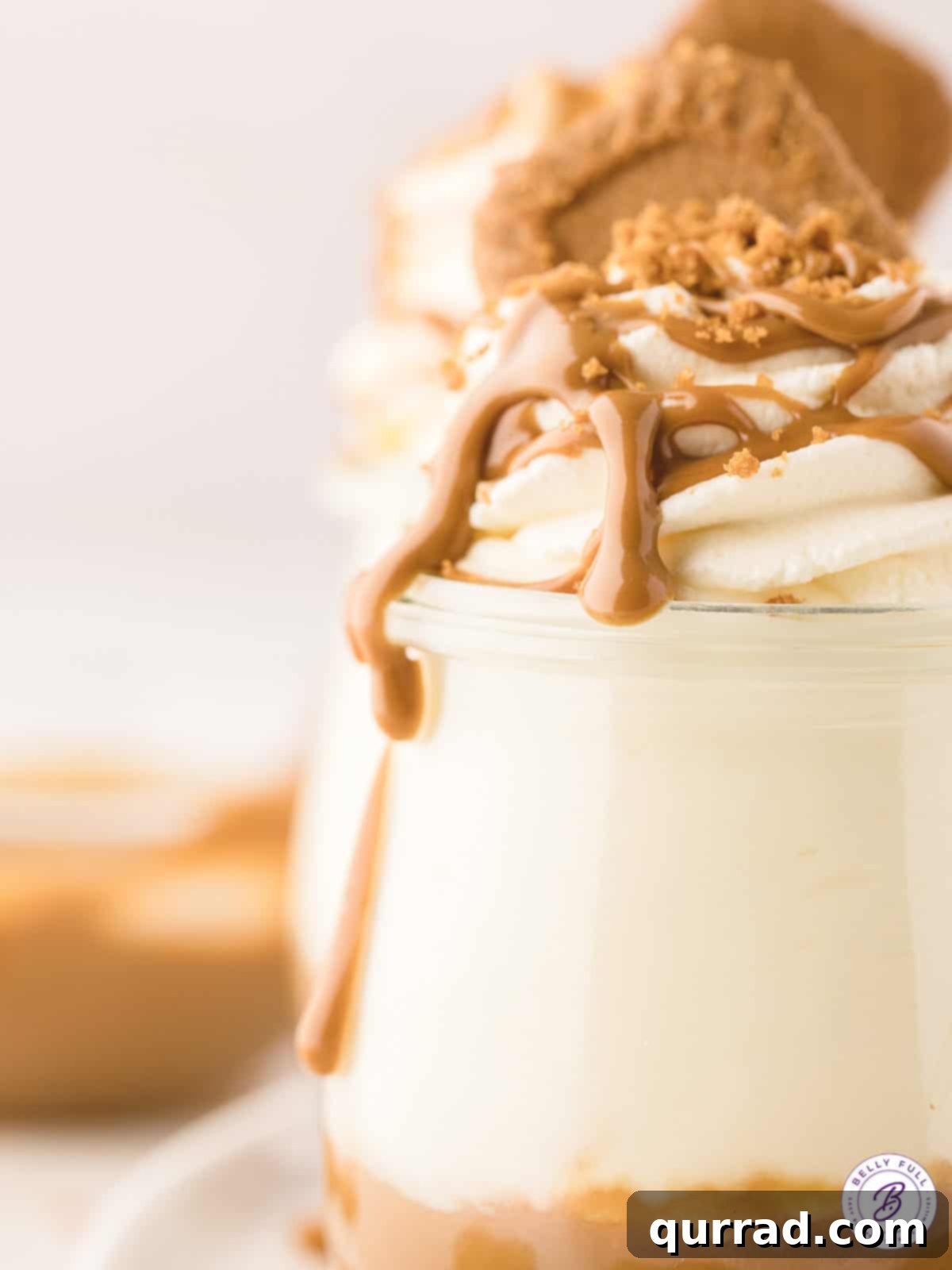 These No-Bake Biscoff Cheesecake Jars are incredibly quick and easy, with no baking required, and prepared in individual servings. Close up of a Biscoff cheesecake jar with a golden Biscoff cookie on top.