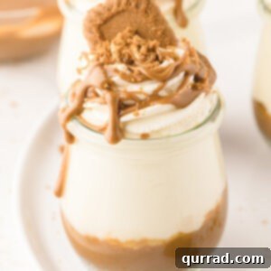 Lotus Biscoff Cheesecake Cups 2 A cheesecake jar topped with Biscoff