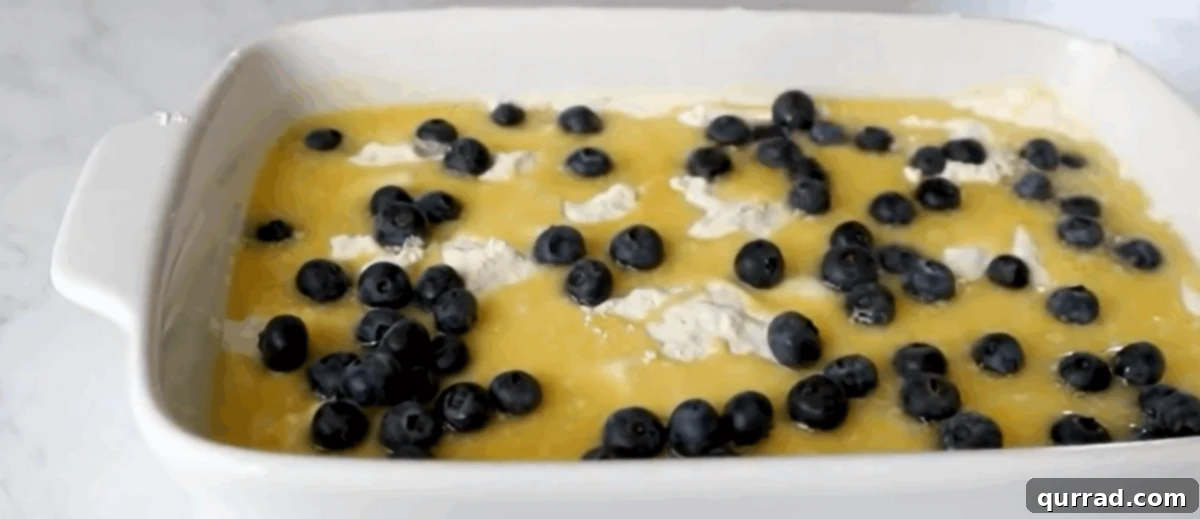 One Pan Blueberry Bliss 7 Fresh blueberries being sprinkled over the butter-drizzled cake mix and blueberry filling.