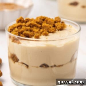 A Biscoff cookie butter yogurt bowl in a dessert cup, showing a rich and inviting texture.