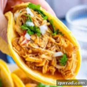 A hand holding a shredded chicken taco