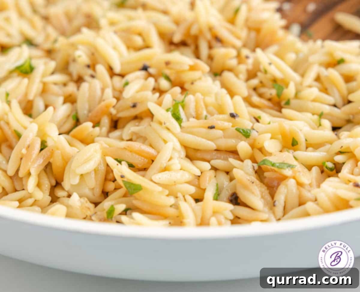 A white bowl filled with creamy lemon orzo pasta, garnished with fresh parsley.