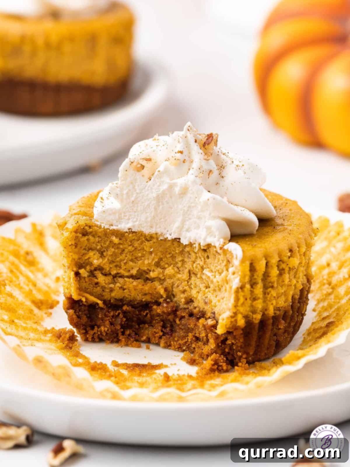These Mini Pumpkin Cheesecakes feature a smooth, creamy pumpkin cheesecake filling in a gingersnap crust. Bite-sized and irresistible! A close-up of a mini pumpkin cheesecake with a bite taken out, revealing its creamy texture and crunchy gingersnap crust.