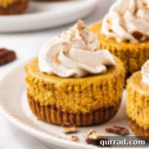 Spiced Pumpkin Cheesecake Bites 2 Close up of mini pumpkin cheesecakes on a plate