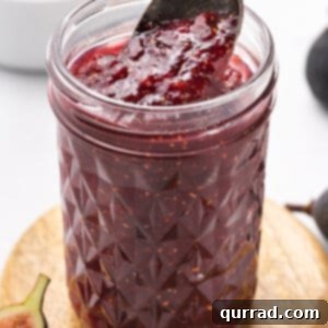 Artisan Fig Spread 6 spoon scooping fig jam in jar