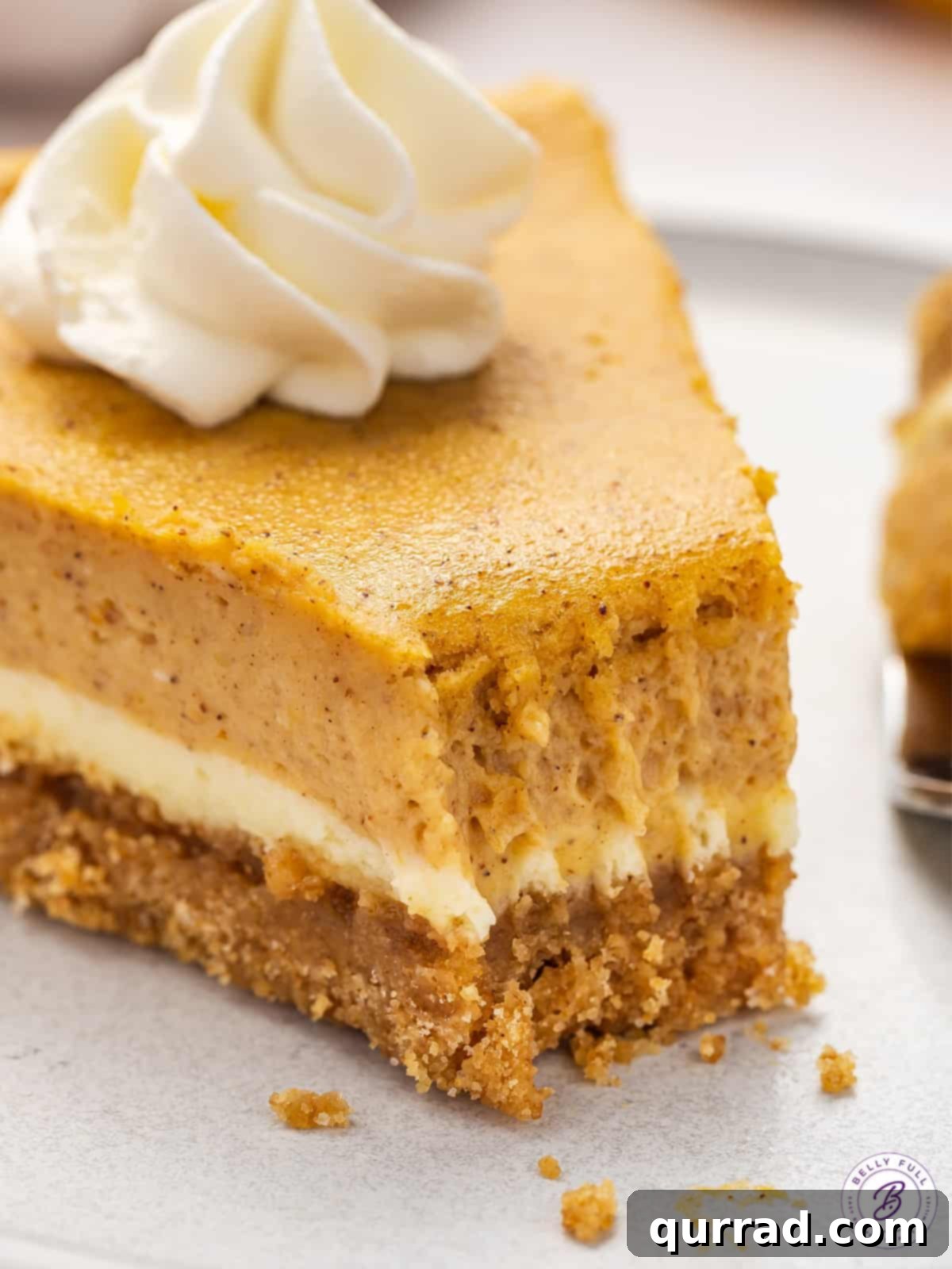 A close-up shot of a slice of layered pumpkin cheesecake, highlighting the textures and distinct layers.