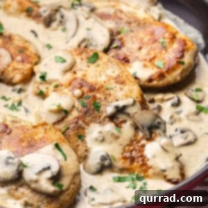 Chicken with boursin cheese in a skillet