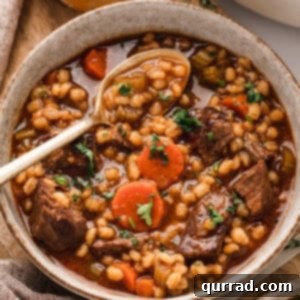 A spoon in a bowl of beef and barley soup