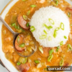 Overhead view of a bowl of chicken and sausage gumbo with rice