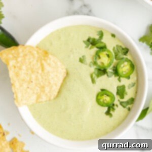 creamy blended dip with sliced jalapenos and a tortilla chip