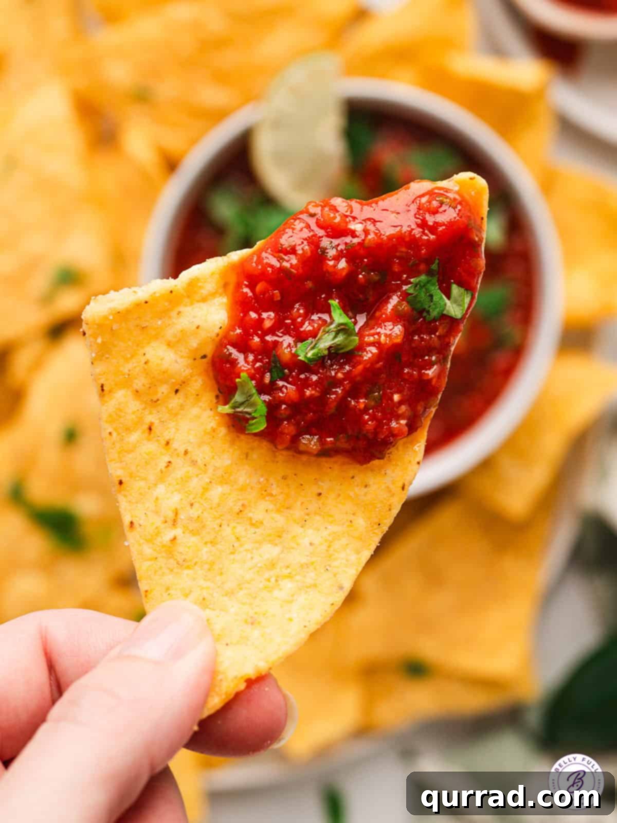 Classic Red Salsa 5 A close-up shot of vibrant red Salsa Roja generously scooped onto a crispy tortilla chip, highlighting its chunky texture and fresh appeal.