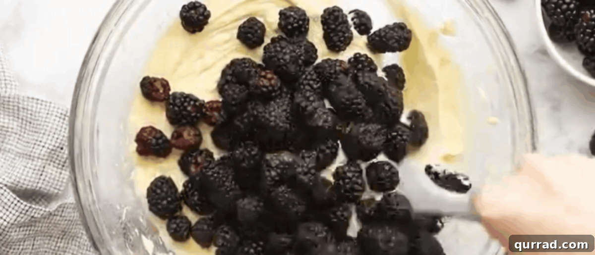 Luscious Blackberry Delight 8 Fresh blackberries being gently folded into the cake batter with a spatula in a glass bowl.