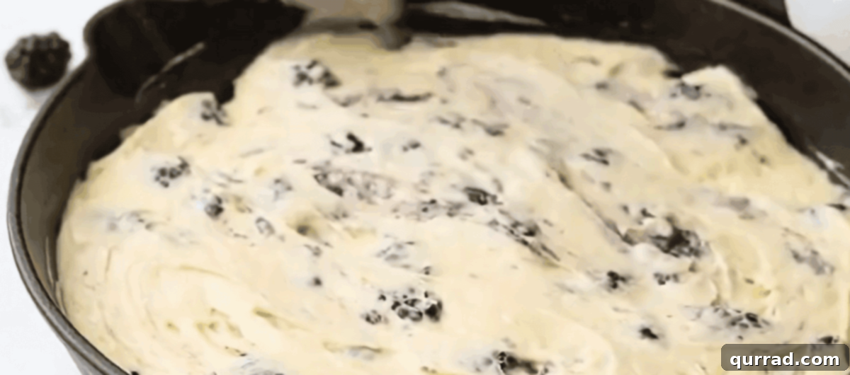 Luscious Blackberry Delight 9 Blackberry cake batter, rich with berries, spread evenly into a prepared cast iron skillet, ready for baking.