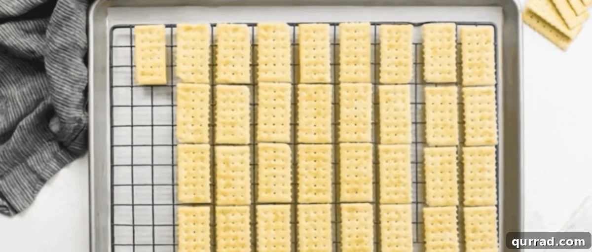 Buttery Club crackers arranged neatly in a single layer on a greased wire rack on a baking sheet.