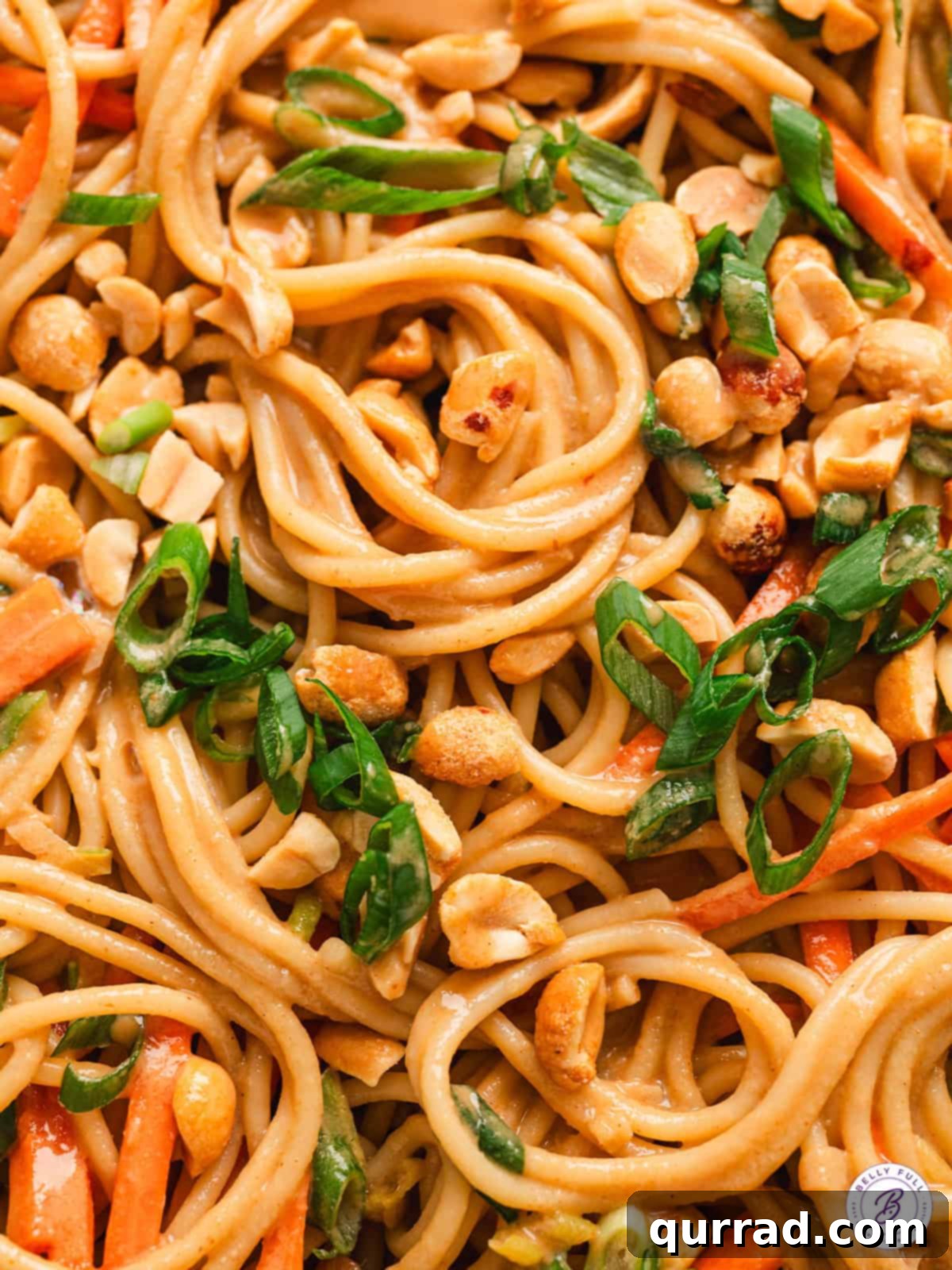 Creamy peanut noodles generously topped with chopped peanuts and green scallions